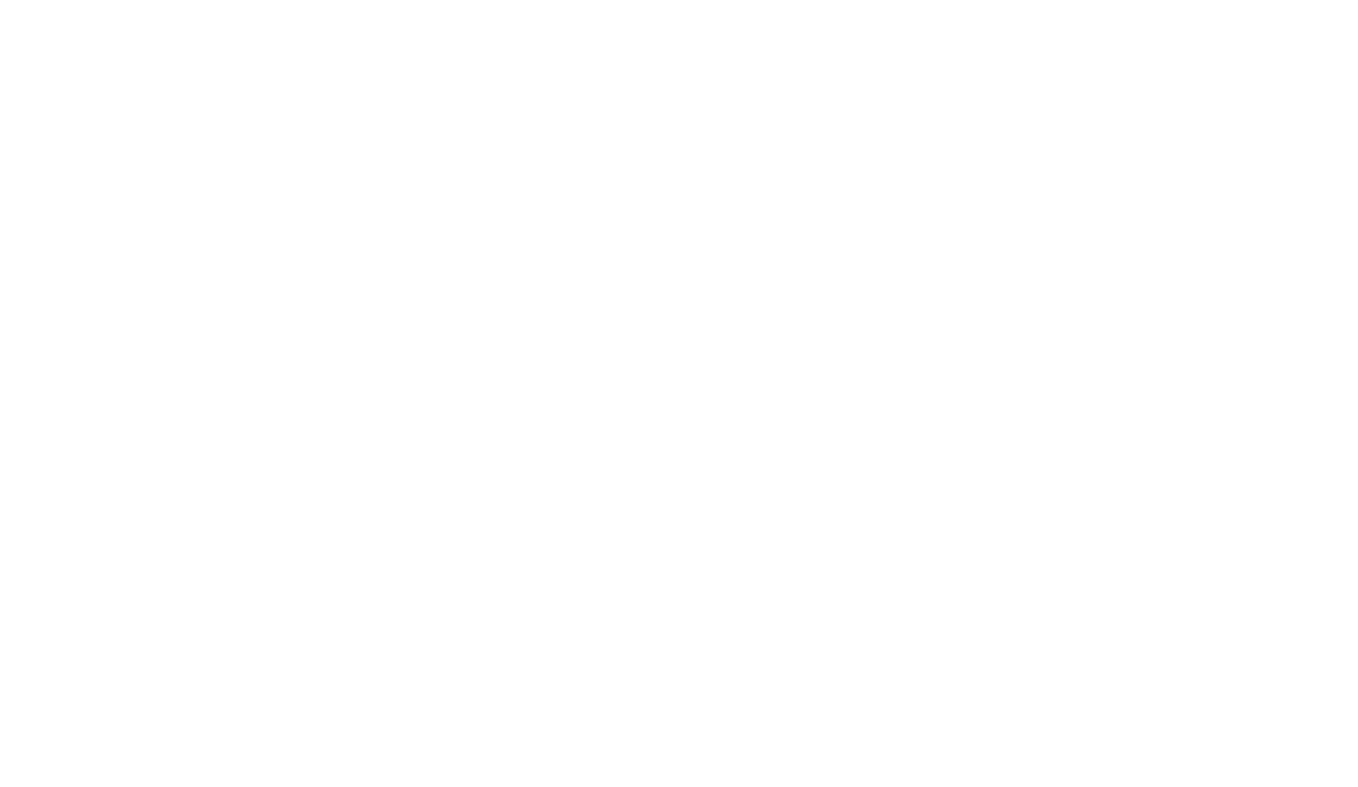 VISION WHITE